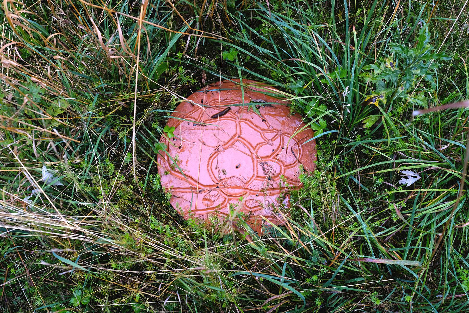 Lulu & Whiskey art ceramic sculpture 'Colocus2e', photo by Simone Haug, 2024